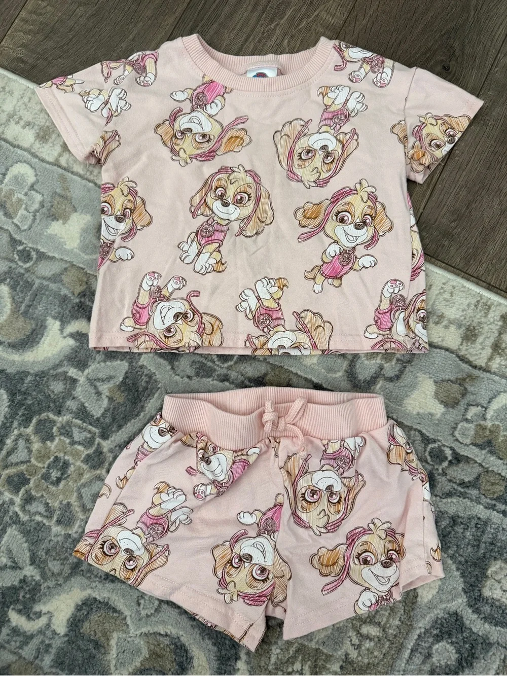 Paw Patrol light pink Skye matching set - 2T